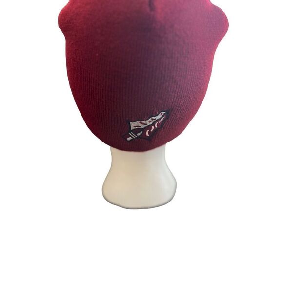 Florida State University FSU Logo embroidered beanie hat - Picture 14 of 14